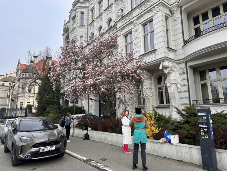 To najbardziej instagramowa kamienica we Wrocławiu. Efekt robi piękna magnolia!, Jakub Jurek