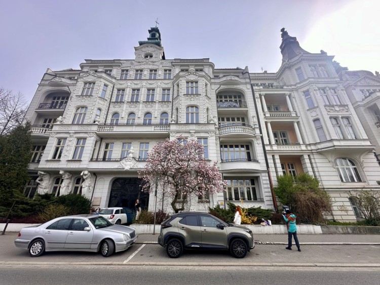 To najbardziej instagramowa kamienica we Wrocławiu. Efekt robi piękna magnolia!, Jakub Jurek