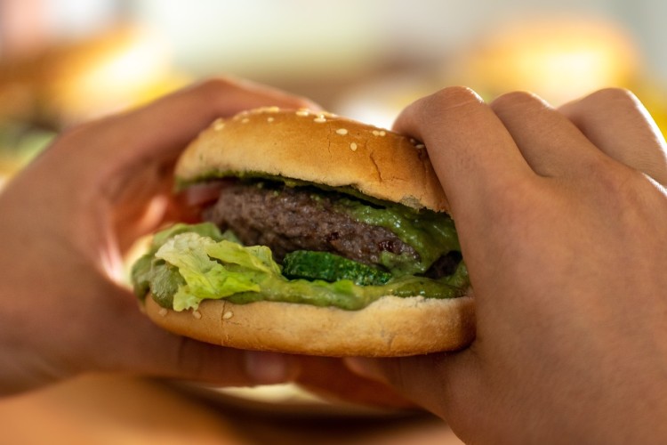 Salmonella w popularnych hamburgerach. Sanepid ostrzega, Pixabay