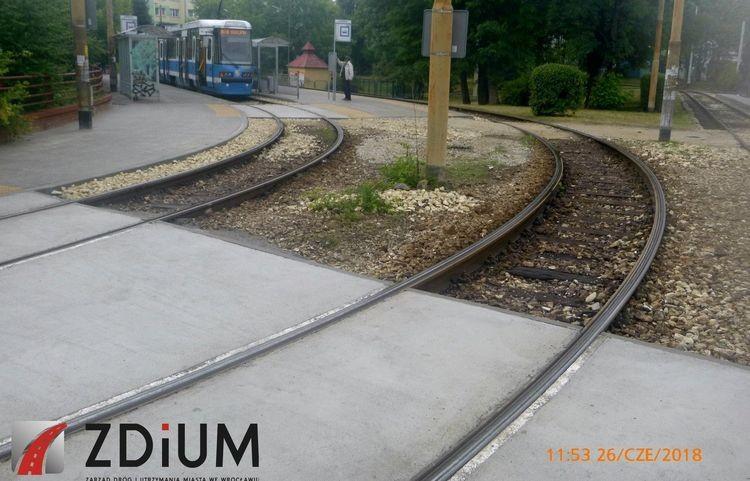 fot. Materiały ZDiUM