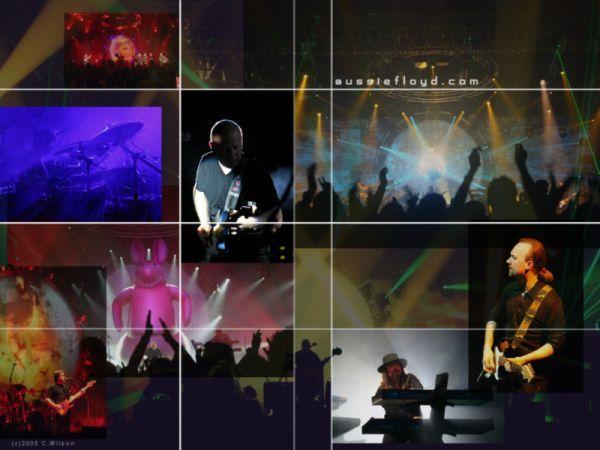 www.aussiefloyd.com