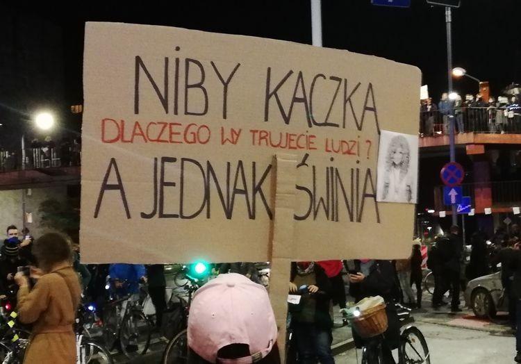 fot. Michał Hernes