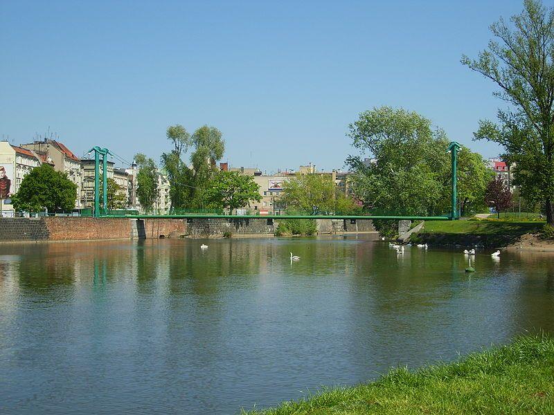 Wikimedia Commons