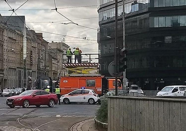 fot. Monika Maniarska