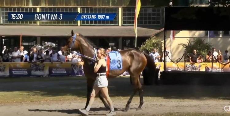 fot. EQUI TV