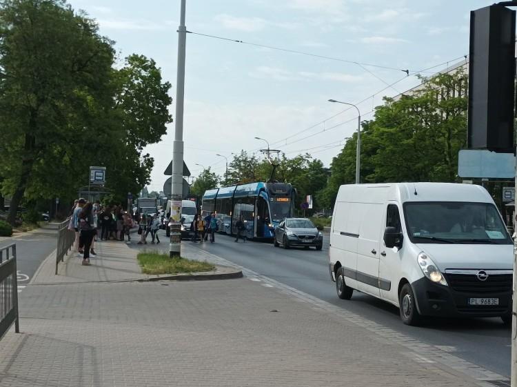 fot. Czytelniczka