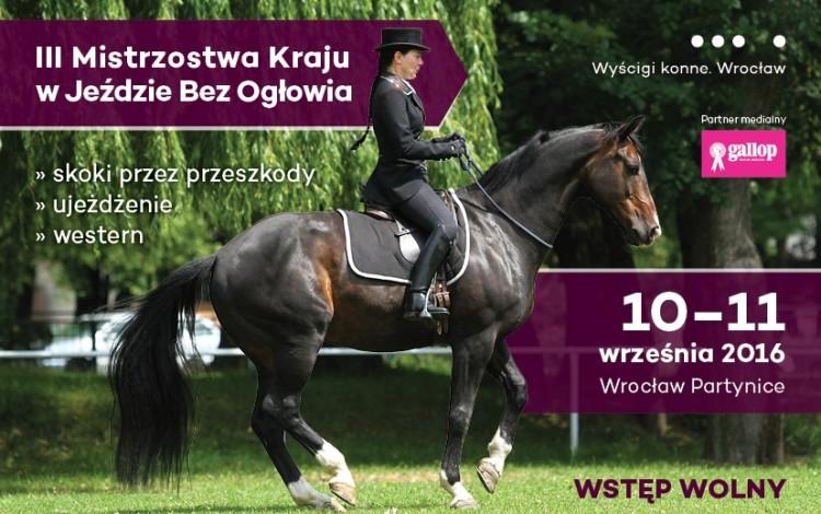 fot. materiały prasowe