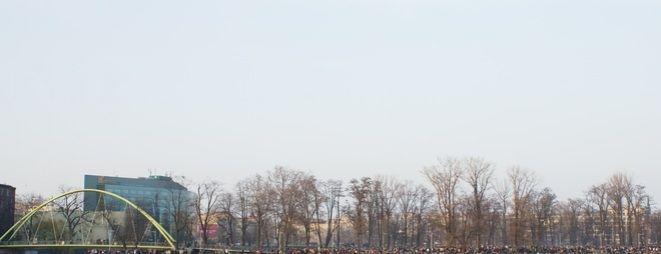 materiały organizatora