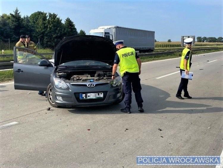 fot. zdjęcie ilustracyjne/Policja Wrocław