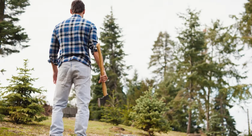 fot. Istockphoto