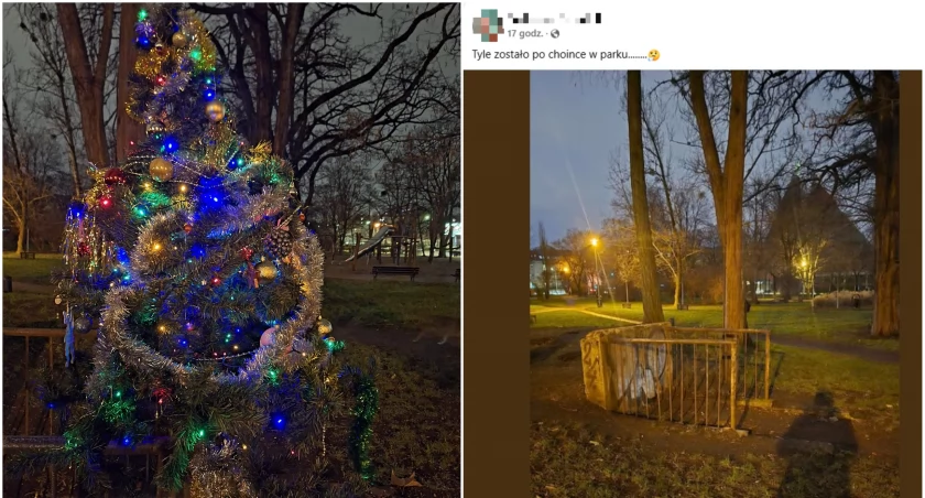 fot. Facebook / Co tam na Szczepinie