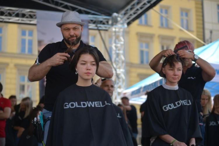 fot. Wojciech Bolesta