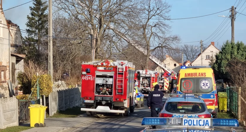fot. pulslegnicy.pl