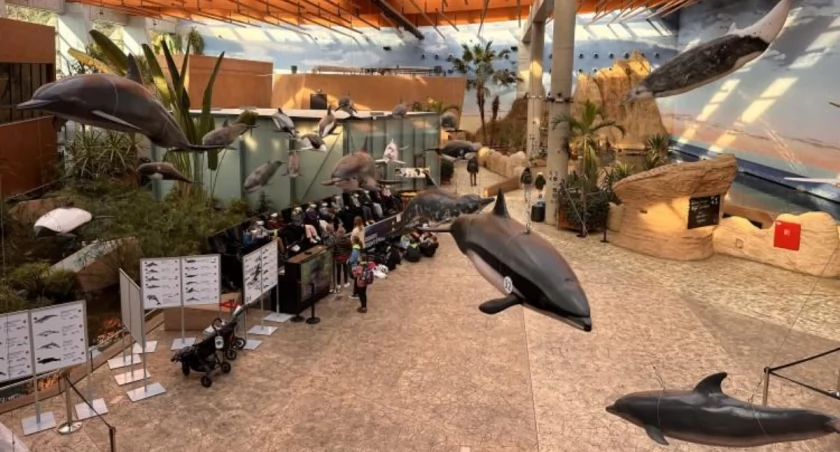 fot. Jakub Jurek