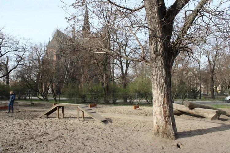 fot. Klaudia Kłodnicka/archiwum