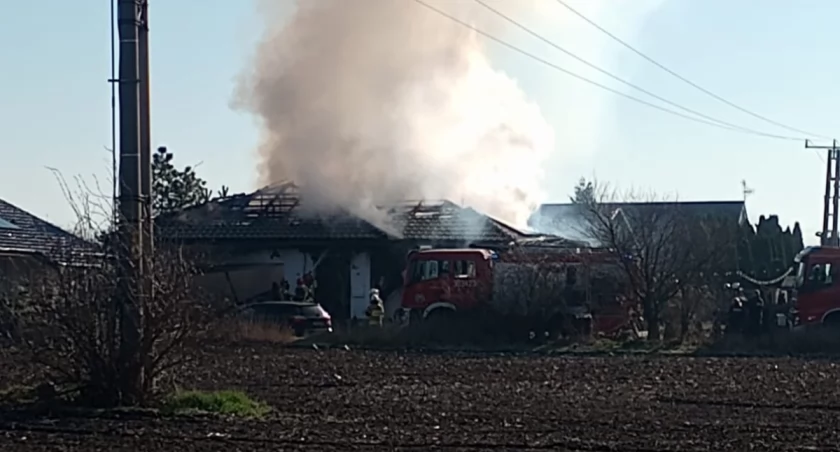 fot. użyczone/Jacek 