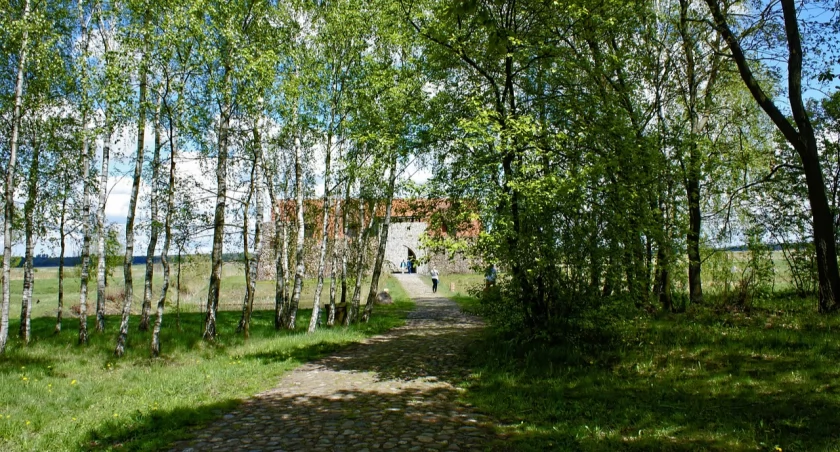Podlasie / fot. Pixabay
