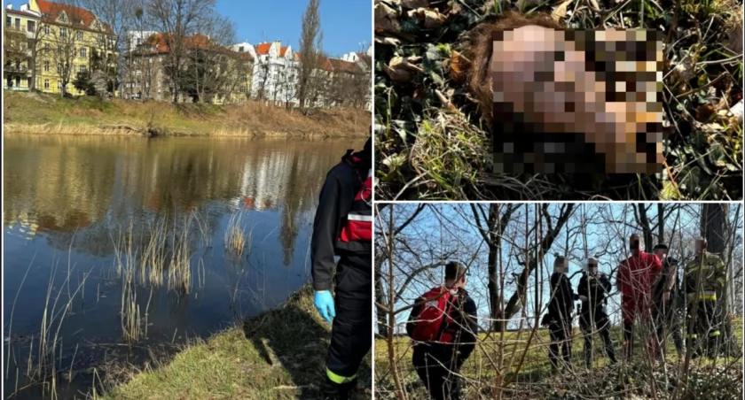 fot. WOPR Dolnośląskie