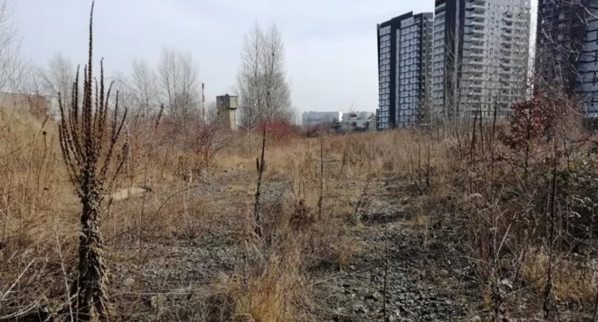 Tutaj ma powstać Park Henrykowski / fot. PM Projekt, ZZM Wrocław