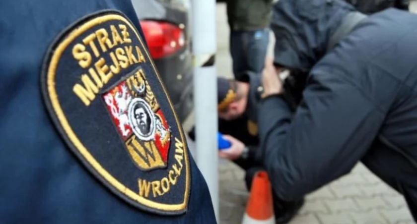 We Wrocławiu pracuje ponad 300 strażników miejskich