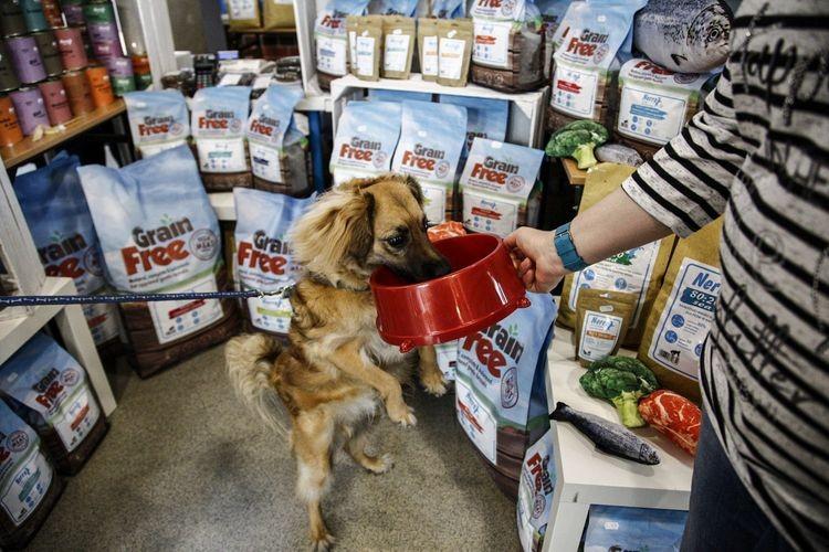fot. Magda Pasiewicz