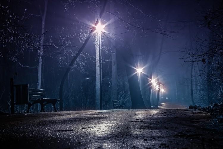 fot. pixabay
