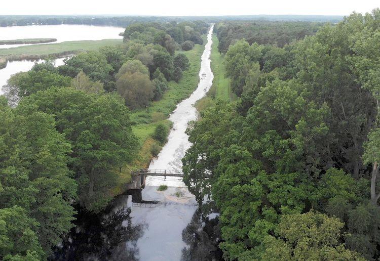 fot. Materiały prasowe