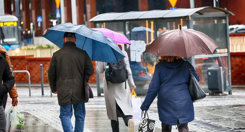 We Wrocławiu zaczęło padać po godzinie 12. Momentami opady są intensywne / fot. Shutterstock
