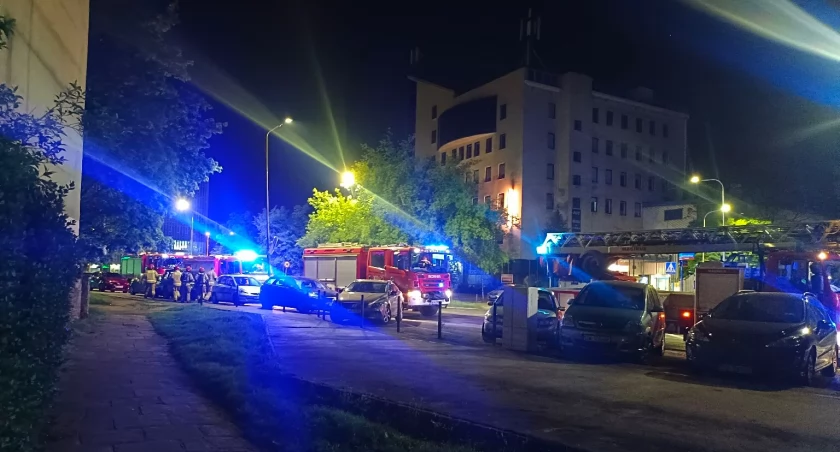 fot. Różane Atelier/grupa Co tam na Szczepinie 