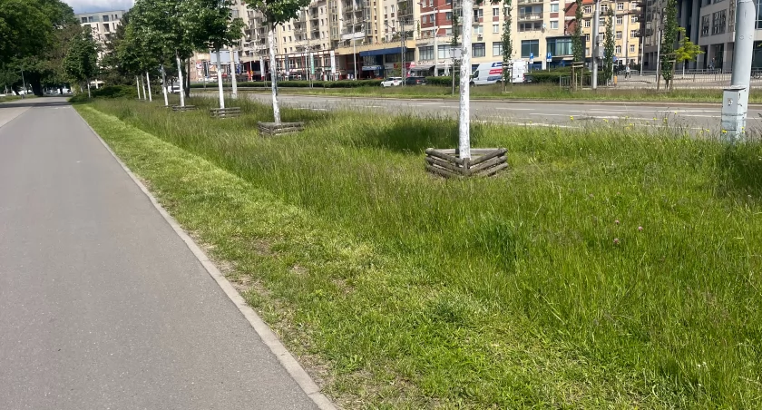 Plac Bema, fot. Klaudia Sabok
