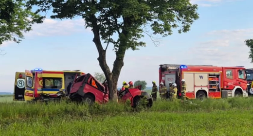 Śmiertelny wypadek pod Bolesławcem / fot. KPP Bolesławiec