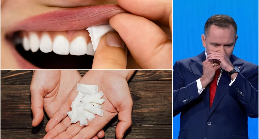 Tak wygląda snus, zażyty przez Karola Nawrockiego podczas debaty prezydenckiej / fot. Adobe Stock / TVP