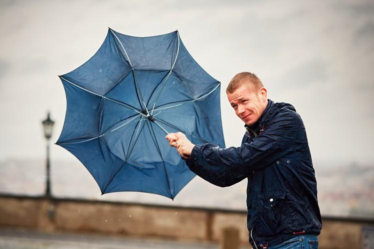 fot. Adobe Stock