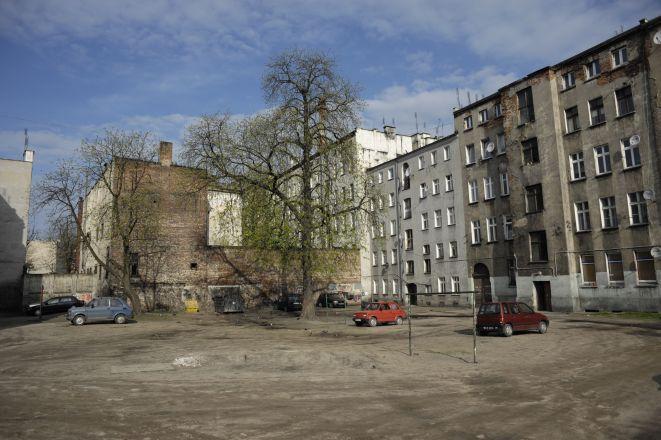 materiały prasowe