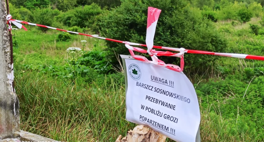 fot. Straż Miejska Wrocławia 
