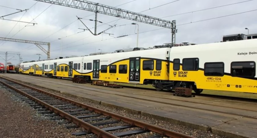 fot. Bartosz Senderek/zdjęcie ilustracyjne