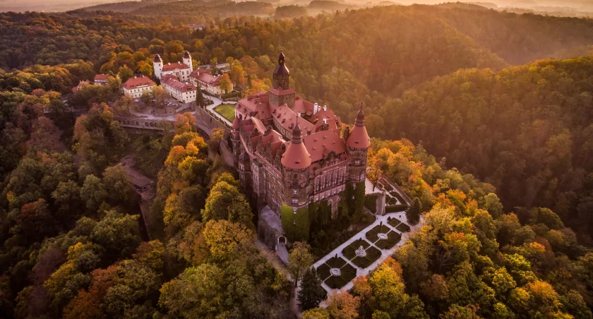 fot. materiały prasowe