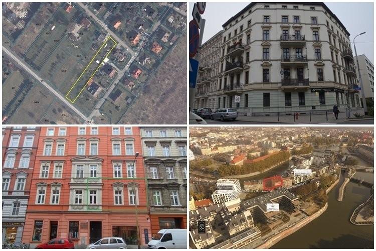 fot. UM Wrocław