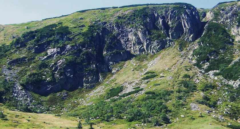 fot. wikimedia commons