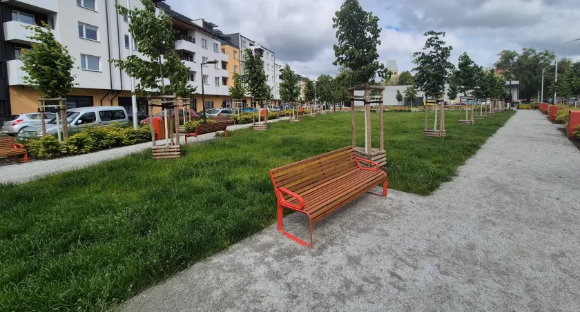 fot. UM Wrocław