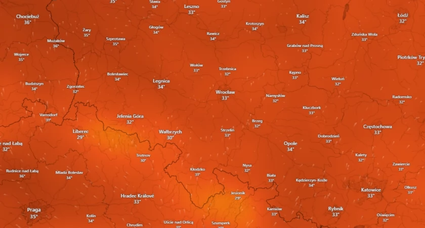 W środę we Wrocławiu temperatura może wzrosnąć aż do 33 stopni Celsjusza / windy.com
