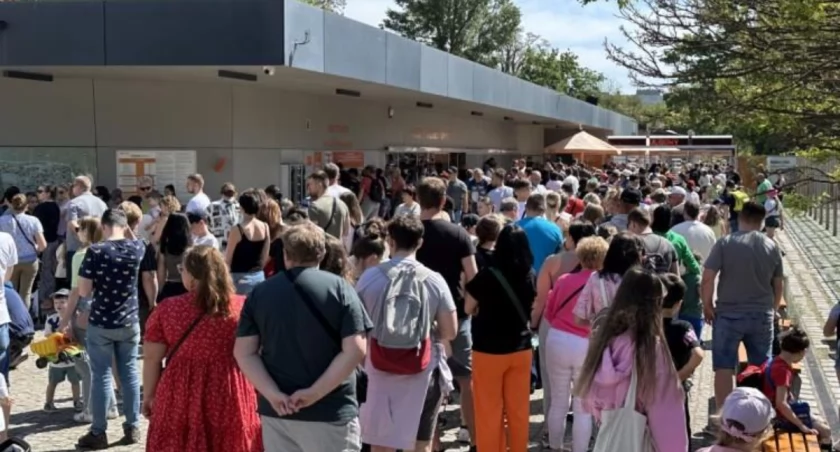W zoo spodziewają się w weekend gigantycznych kolejek / fot. Askaniusz Polcyn