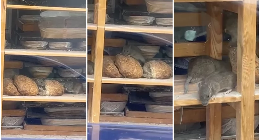 Kadr z nagrania naszego Czytelnika