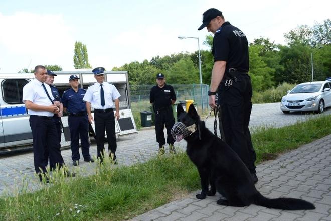 mat. dolnośląskiej policji