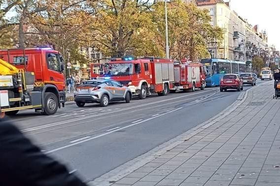 fot. Mateusz Bulsa