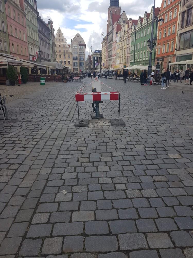 fot. Straż Miejska Wrocławia