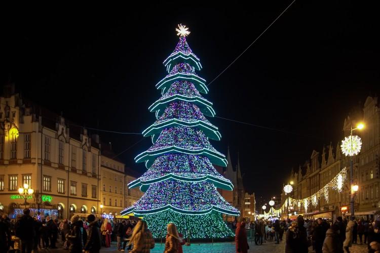 fot. UM WROCŁAWIA