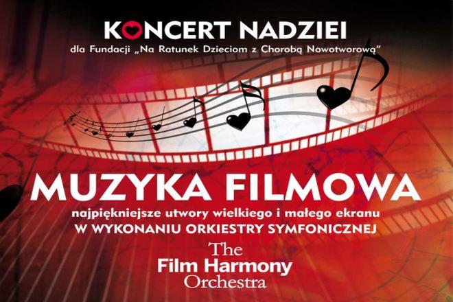 materiały organizatora 