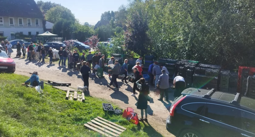 Przez całą sobotę po śliwki spod Trzebnicy ustawiały się długie kolejki / fot. Facebook
