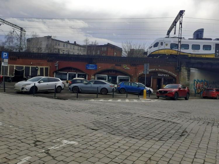 fot. Zarząd Zieleni Miejskiej